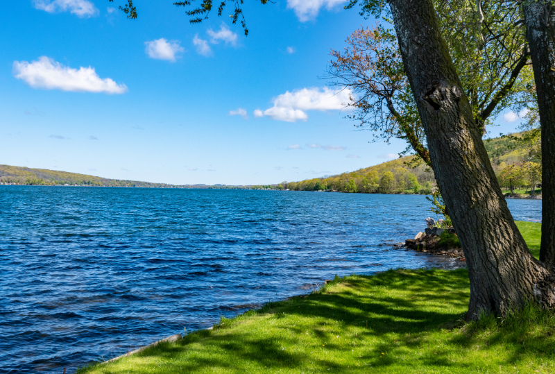 Honeoye Lake - Deanna Nissen Real Estate